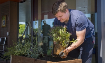 Brockholes Nature Reserve volunteering activity (73).jpg